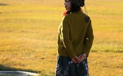 正品日本高清dvd碟片生活版